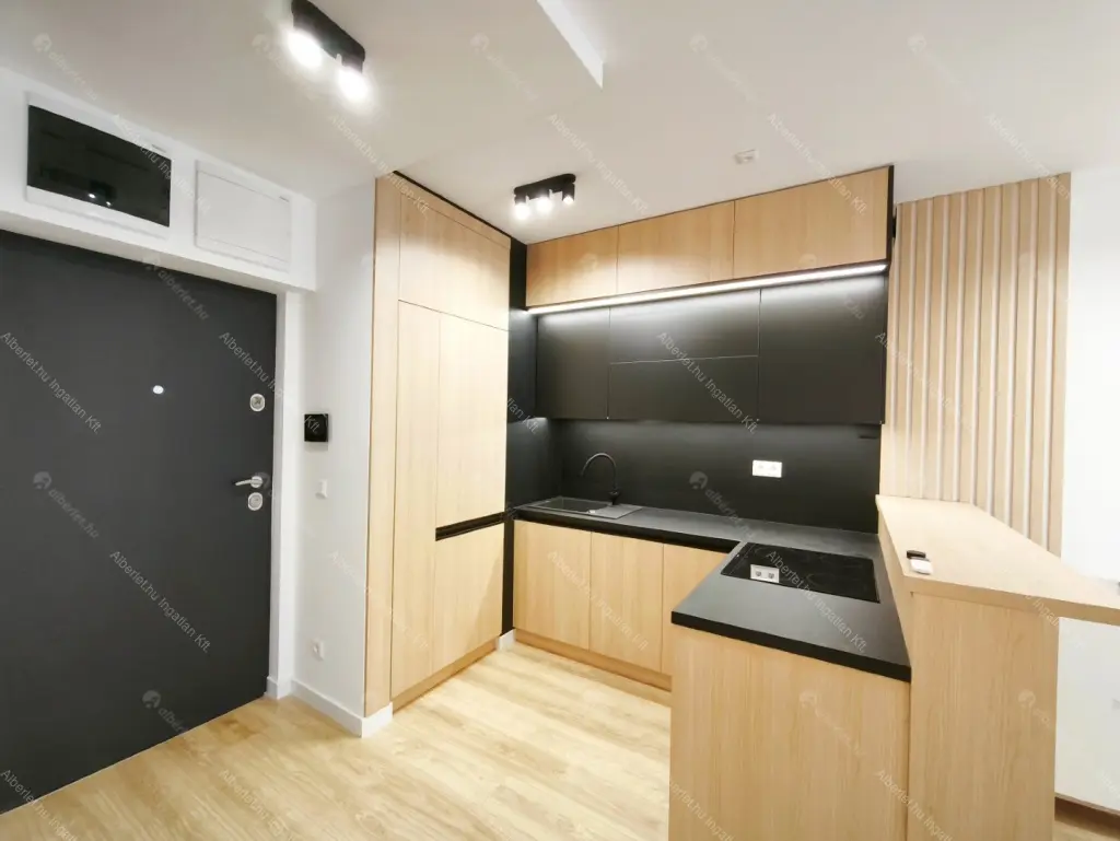 Kiadó albérlet 300000 Ft/hó áron: Budapest, VIII. kerület  Illés utca. Mérete: 47 nm, 2 szobás | Alberlet.hu - 6694116