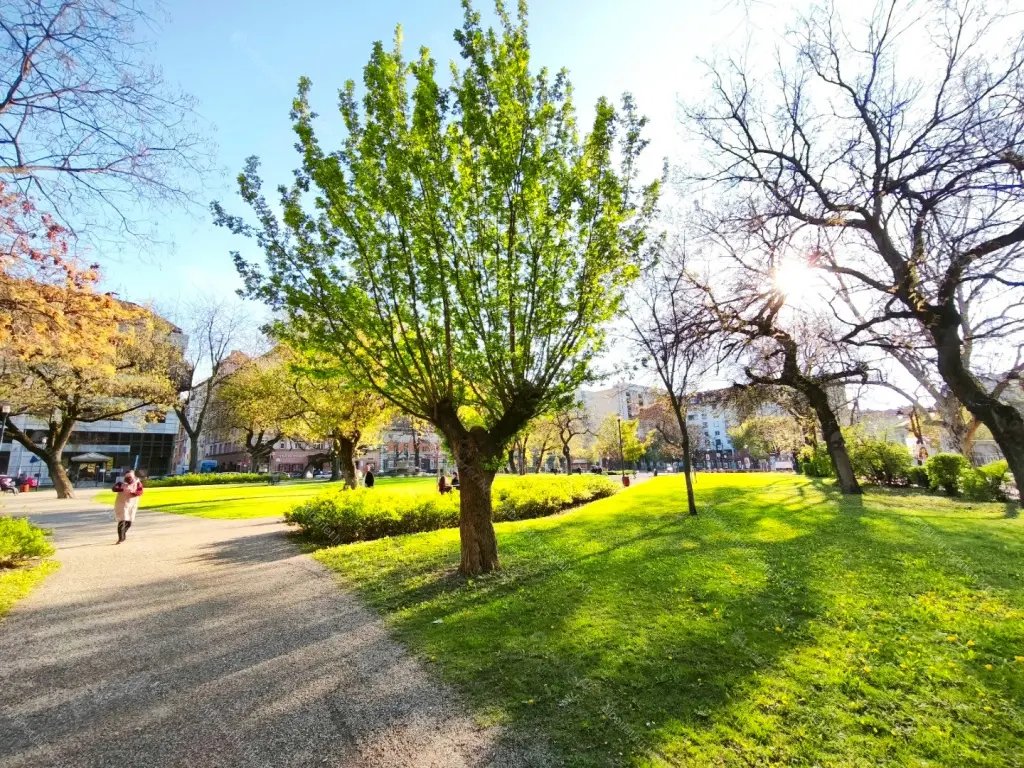 Kiadó albérlet 300000 Ft/hó áron: Budapest, VIII. kerület  Illés utca. Mérete: 47 nm, 2 szobás | Alberlet.hu - 6694119