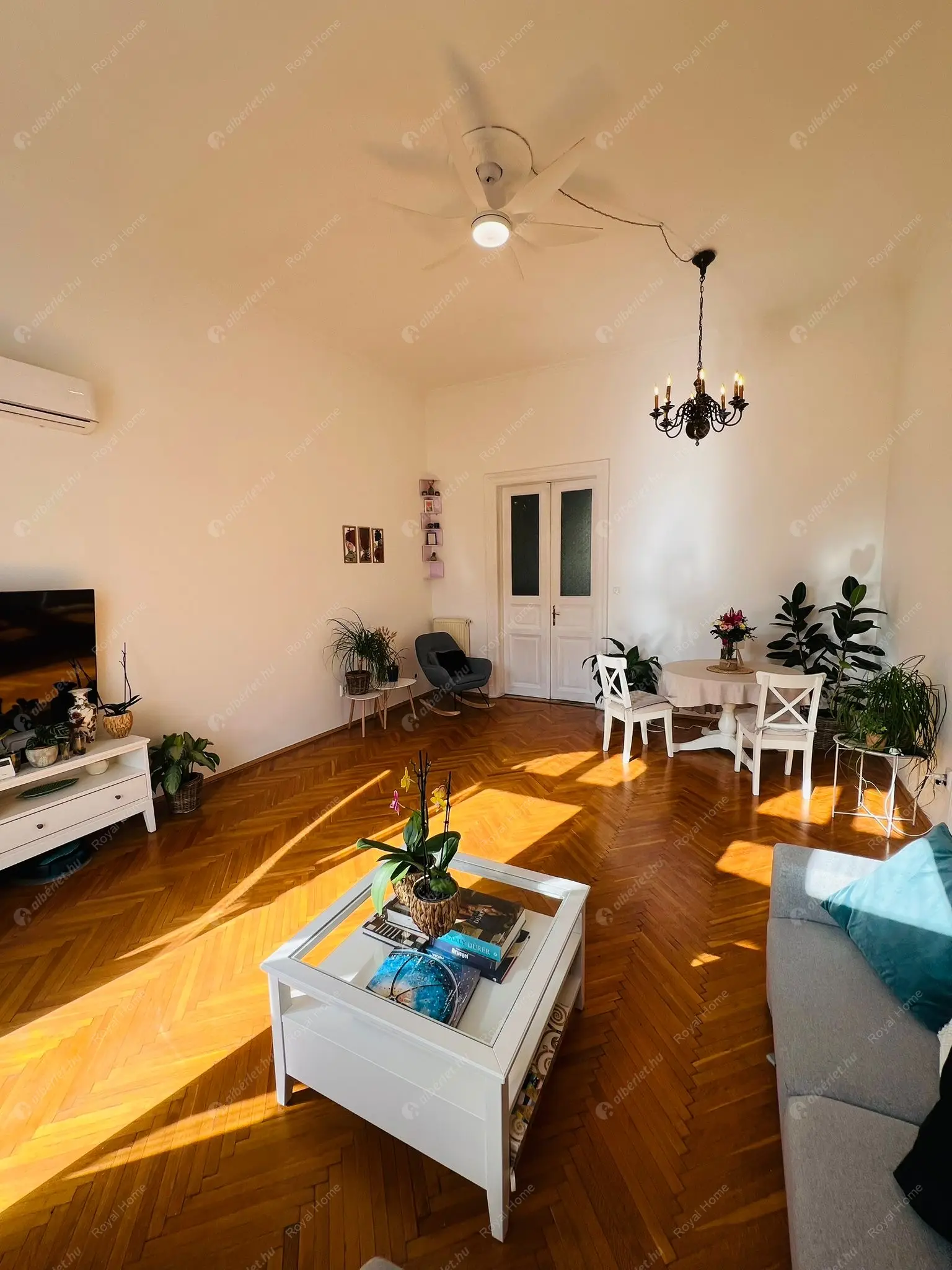 Kiadó albérlet 350000 Ft/hó áron: Budapest, VIII. kerület  József körút. Mérete: 87 nm, 2 szobás | Alberlet.hu - 6573277