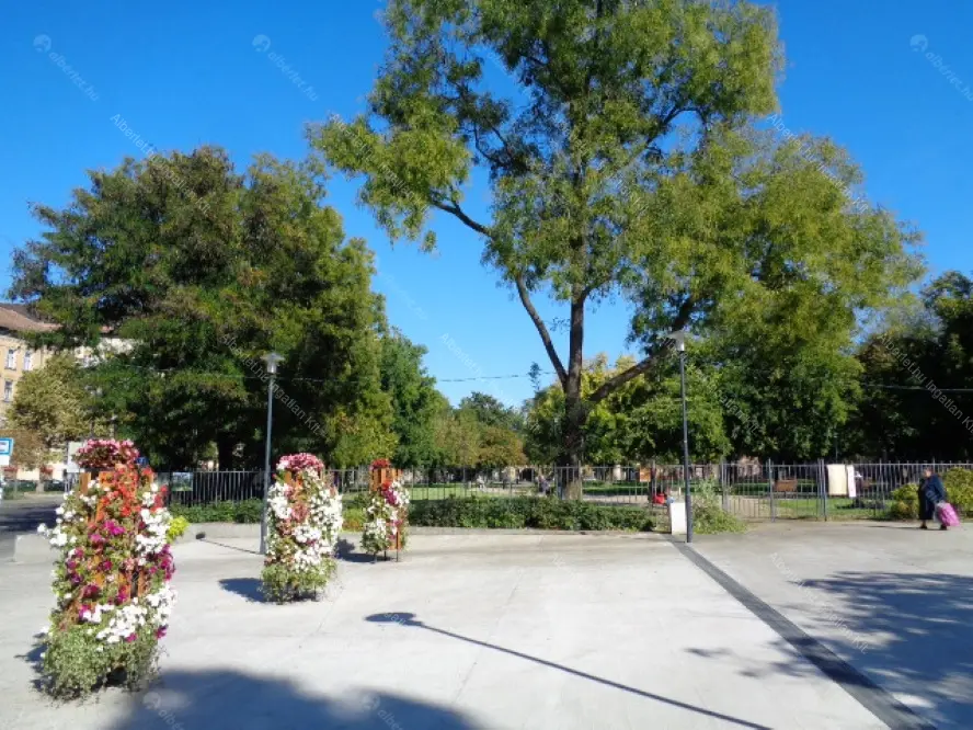 Kiadó albérlet 220000 Ft/hó áron: Budapest, VIII. kerület  Kálvária utca. Mérete: 49 nm, 2 szobás | Alberlet.hu - 6652937