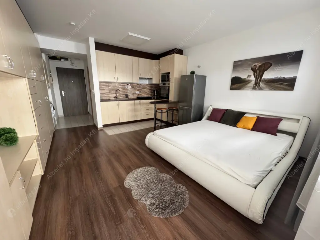 Kiadó albérlet 250000 Ft/hó áron: Budapest, VIII. kerület  Leonardo da Vinci utca. Mérete: 32 nm, 1 szobás | Alberlet.hu - 6619397