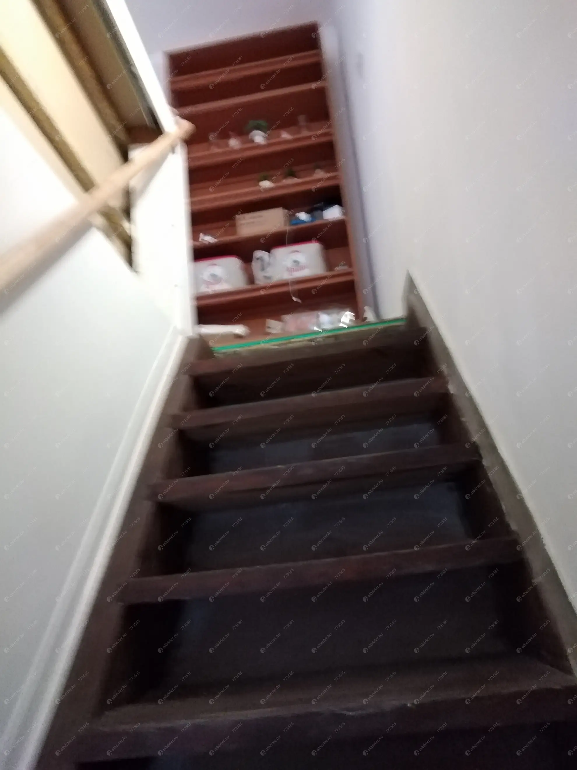 Kiadó albérlet 150000 Ft/hó áron: Budapest, VIII. kerület  Lujza utca. Mérete: 39 nm, 1 szobás | Alberlet.hu - 6633639