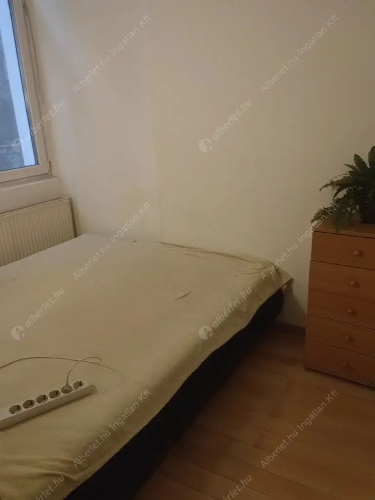 Kiadó albérlet 190000 Ft/hó áron: Budapest, VIII. kerület  Mária utca. Mérete: 30 nm, 1 szobás | Alberlet.hu - 6583121
