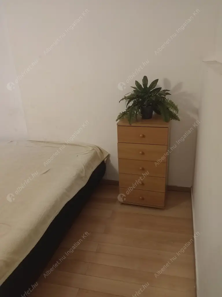 Kiadó albérlet 190000 Ft/hó áron: Budapest, VIII. kerület  Mária utca. Mérete: 30 nm, 1 szobás | Alberlet.hu - 6583122