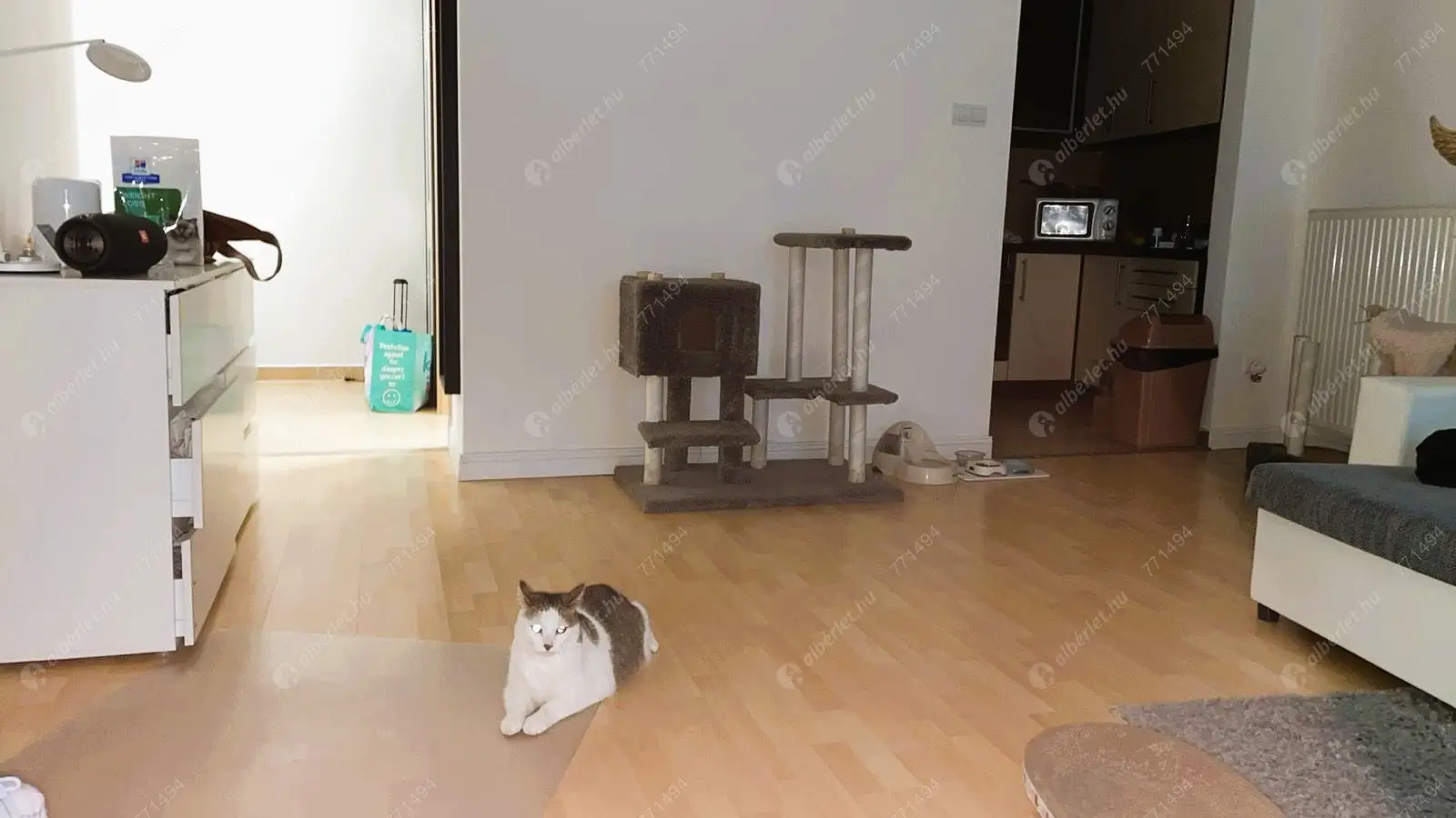 Kiadó albérlet 234000 Ft/hó áron: Budapest, VIII. kerület  Mátyás tér. Mérete: 51 nm, 2 szobás | Alberlet.hu - 6601099