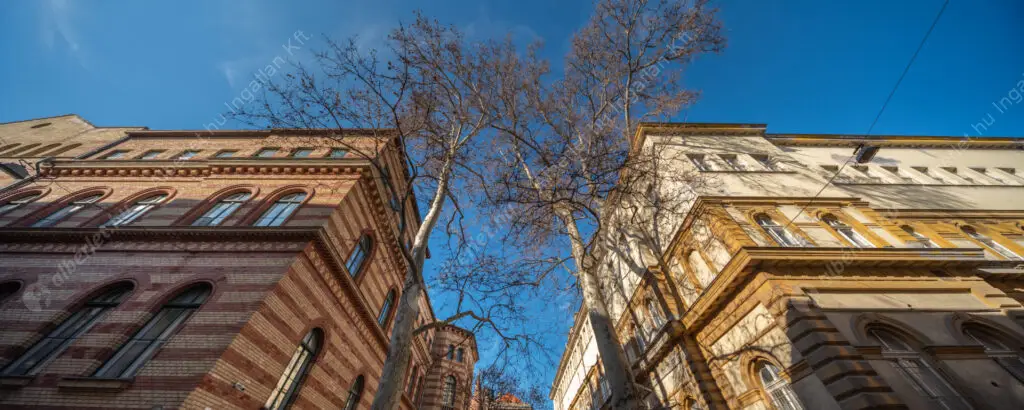 Kiadó albérlet 200000 Ft/hó áron: Budapest, VIII. kerület  Puskin utca. Mérete: 31 nm, 1 szobás | Alberlet.hu - 6589000