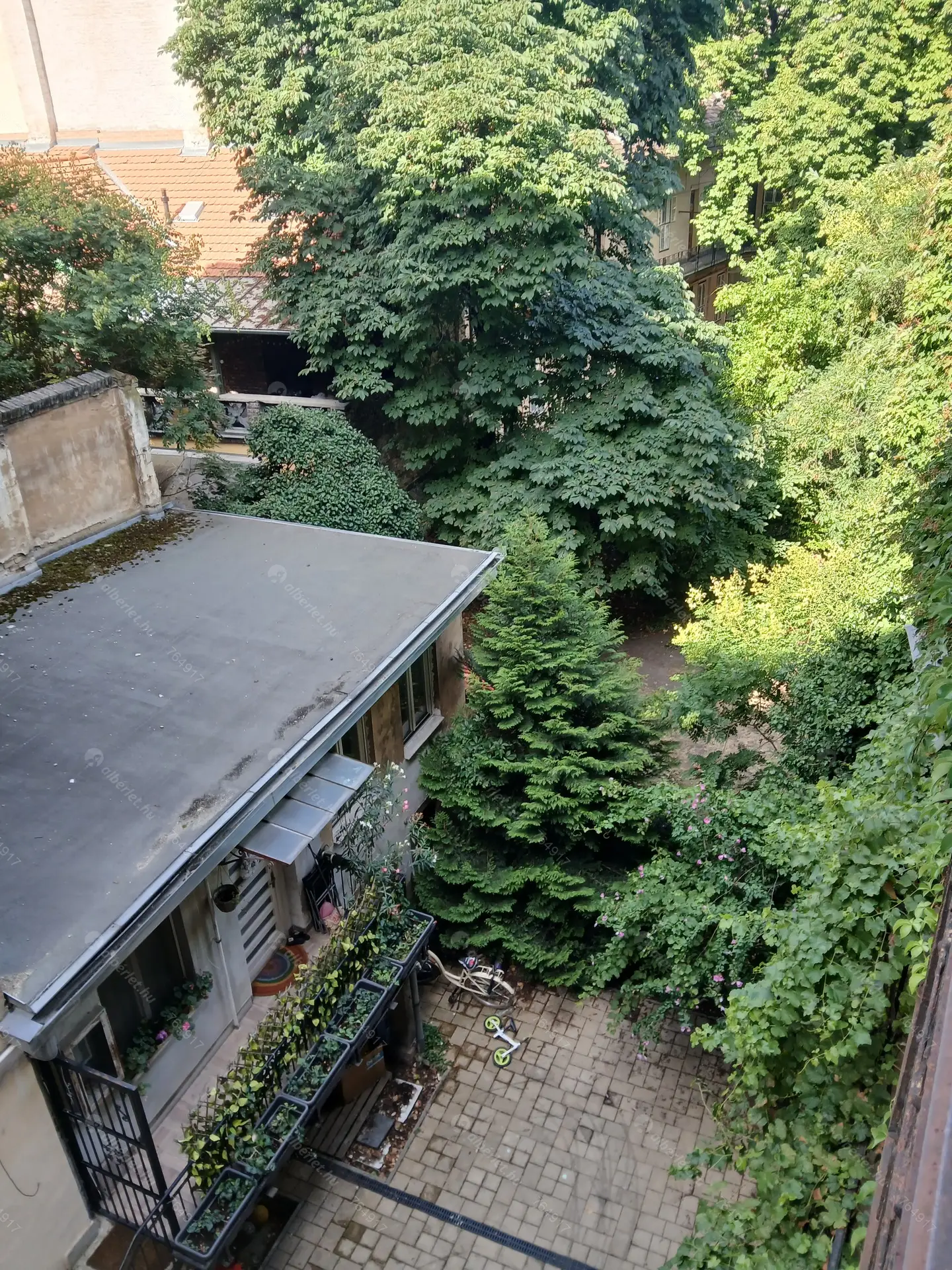 Kiadó albérlet 200000 Ft/hó áron: Budapest, VIII. kerület  Rökk Szilárd utca. Mérete: 53 nm, 1 szobás | Alberlet.hu - 6492542