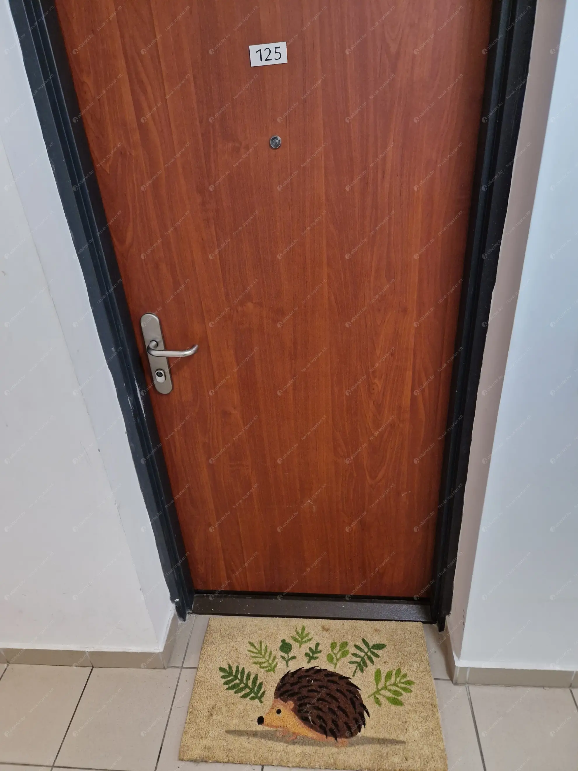 Kiadó albérlet 250000 Ft/hó áron: Budapest, VIII. kerület  Szerdahelyi utca. Mérete: 43 nm, 2 szobás | Alberlet.hu - 6620769