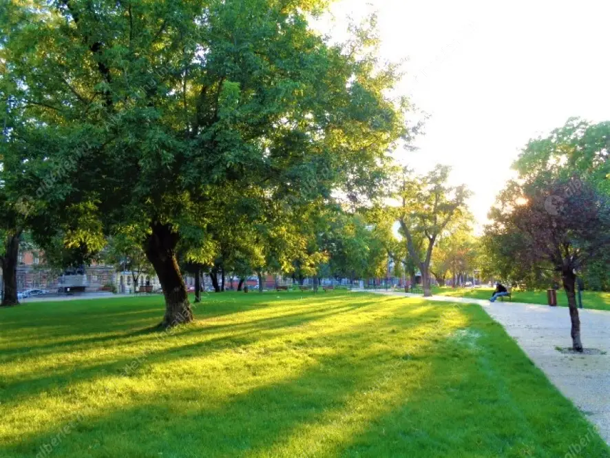 Kiadó albérlet 300000 Ft/hó áron: Budapest, VIII. kerület  Szeszgyár utca. Mérete: 98 nm, 3 szobás | Alberlet.hu - 6592340