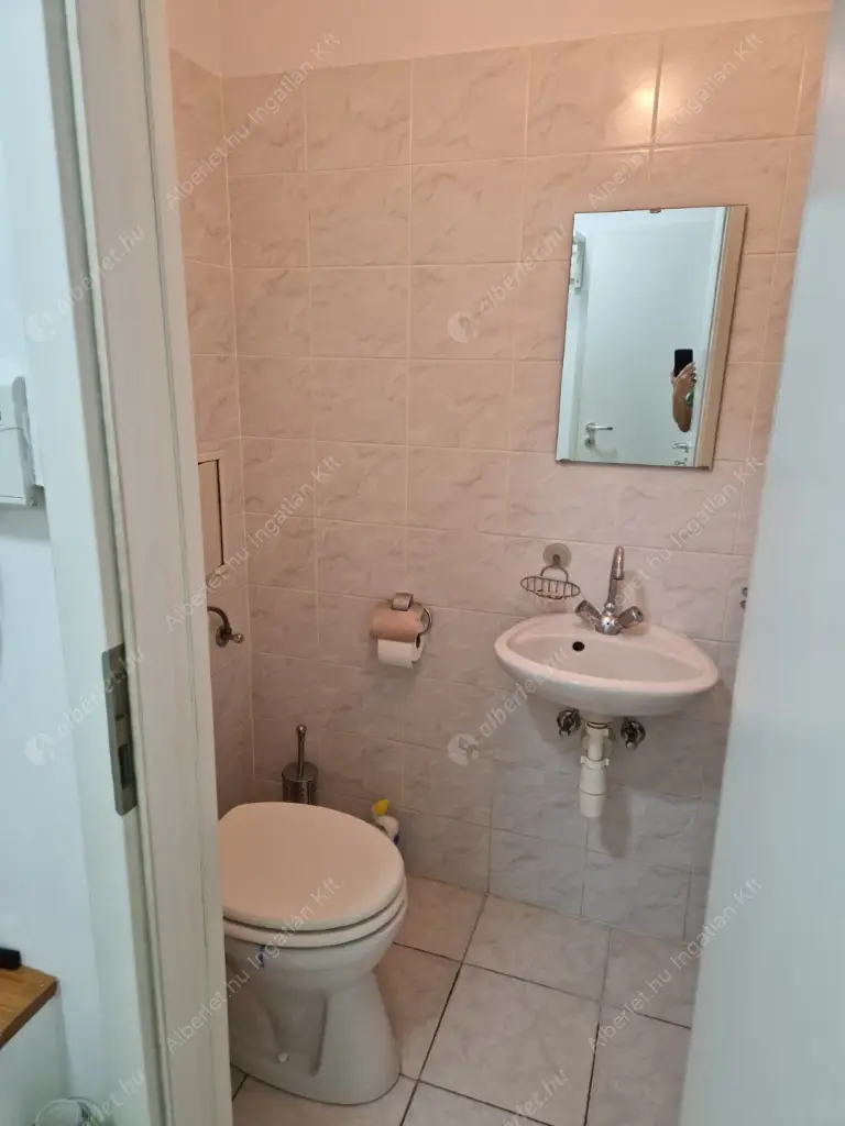 Kiadó albérlet 300000 Ft/hó áron: Budapest, VIII. kerület  Szeszgyár utca. Mérete: 98 nm, 3 szobás | Alberlet.hu - 6625258