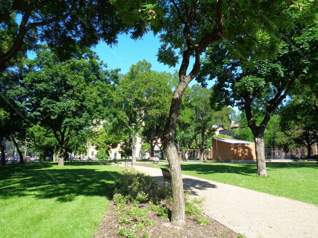 Kiadó albérlet 260000 Ft/hó áron: Budapest, VIII. kerület  Szigony utca. Mérete: 64 nm, 1 szobás | Alberlet.hu - 6702577