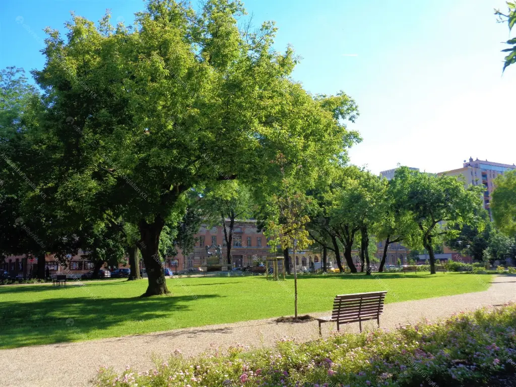 Kiadó albérlet 260000 Ft/hó áron: Budapest, VIII. kerület  Szigony utca. Mérete: 64 nm, 1 szobás | Alberlet.hu - 6702581