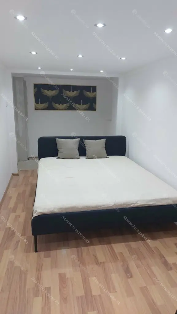 Kiadó albérlet 450000 Ft/hó áron: Budapest, VIII. kerület  Szűz utca. Mérete: 106 nm, 2 szobás | Alberlet.hu - 6686215