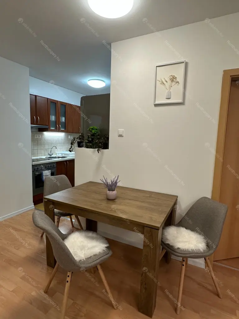 Kiadó albérlet 320000 Ft/hó áron: Budapest, VIII. kerület  Tolnai Lajos utca. Mérete: 50 nm, 2 szobás | Alberlet.hu - 6653792