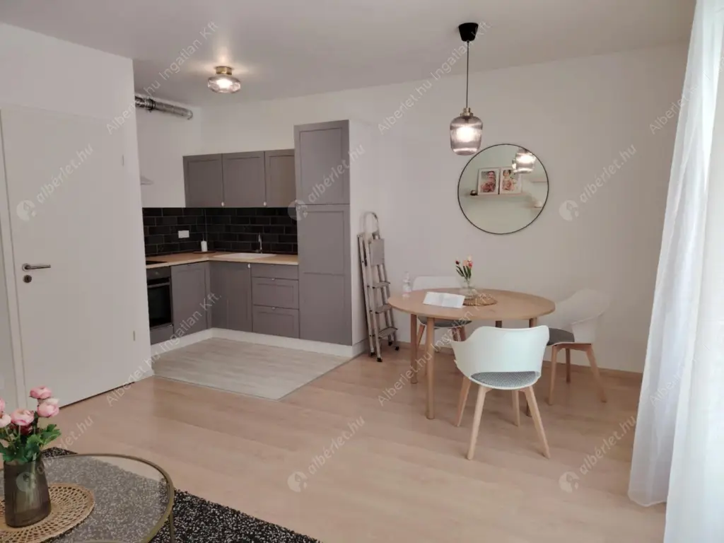 Kiadó albérlet 260000 Ft/hó áron: Budapest, VIII. kerület  Vajdahunyad utca. Mérete: 40 nm, 1 szobás | Alberlet.hu - 6554188