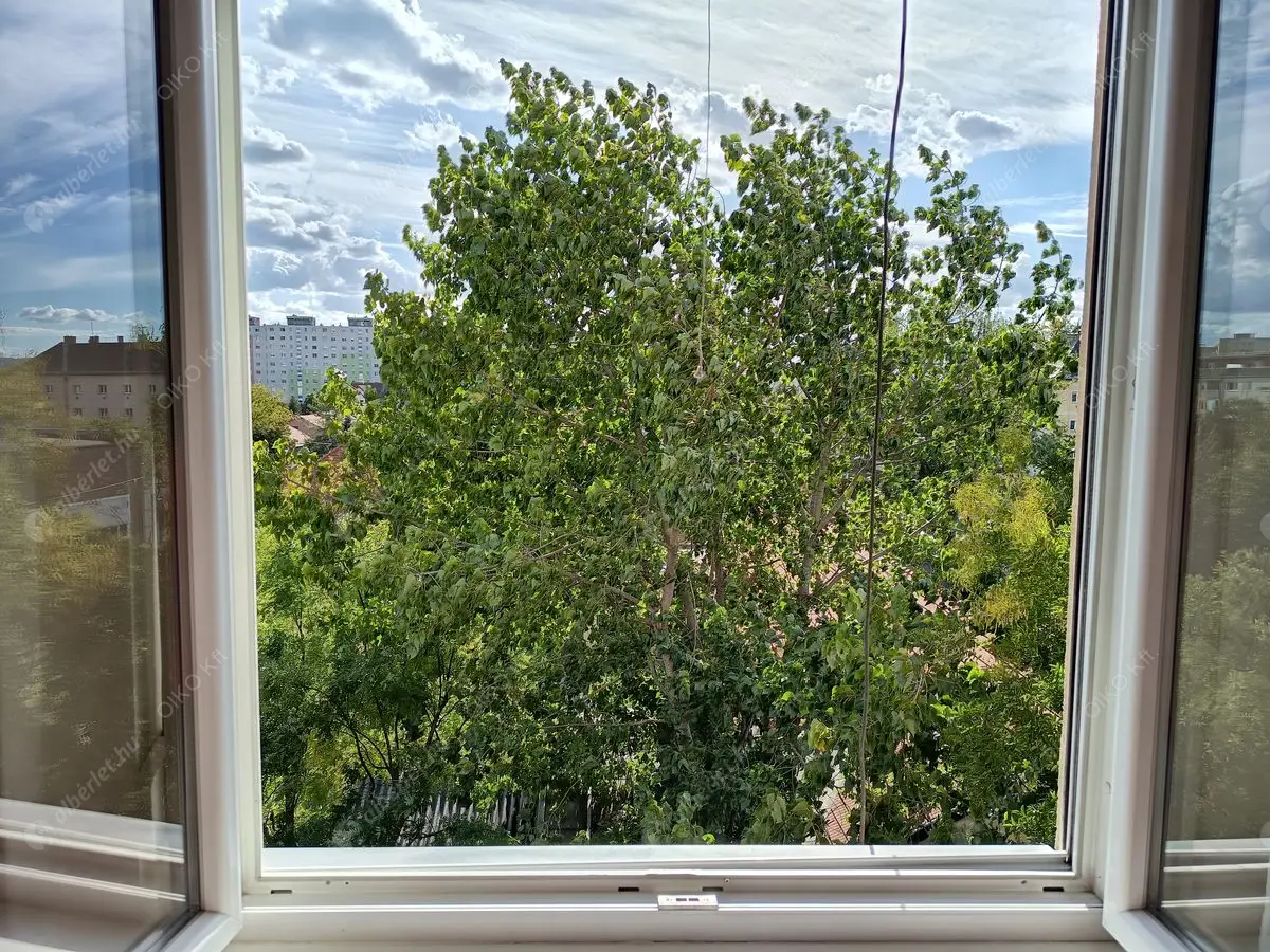 Kiadó albérlet 160000 Ft/hó áron: Budapest, X. kerület  Bihari utca. Mérete: 40 nm, 1 szobás | Alberlet.hu - 6544012