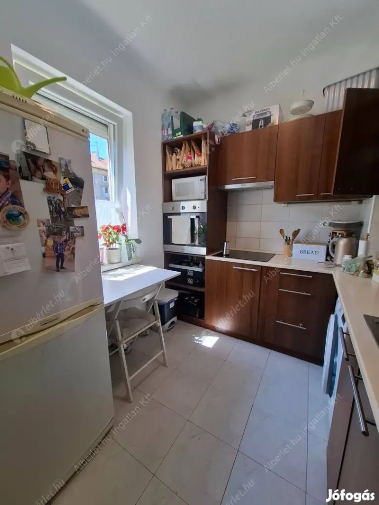 Kiadó albérlet 205000 Ft/hó áron: Budapest, X. kerület  Csilla utca. Mérete: 37 nm, 1 szobás | Alberlet.hu - 6610399