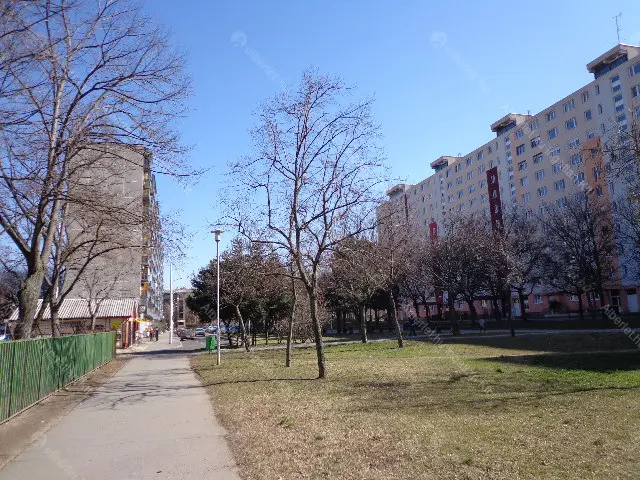 Kiadó albérlet 300000 Ft/hó áron: Budapest, X. kerület  Gyakorló utca. Mérete: 58 nm, 2 szobás | Alberlet.hu - 6692651