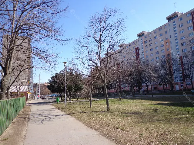 Kiadó albérlet 300000 Ft/hó áron: Budapest, X. kerület  Gyakorló utca. Mérete: 58 nm, 2 szobás | Alberlet.hu - 6692652