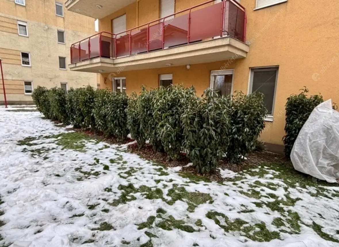 Kiadó albérlet 250000 Ft/hó áron: Budapest, X. kerület  Kismartoni út. Mérete: 50 nm, 2 szobás | Alberlet.hu - 6629500