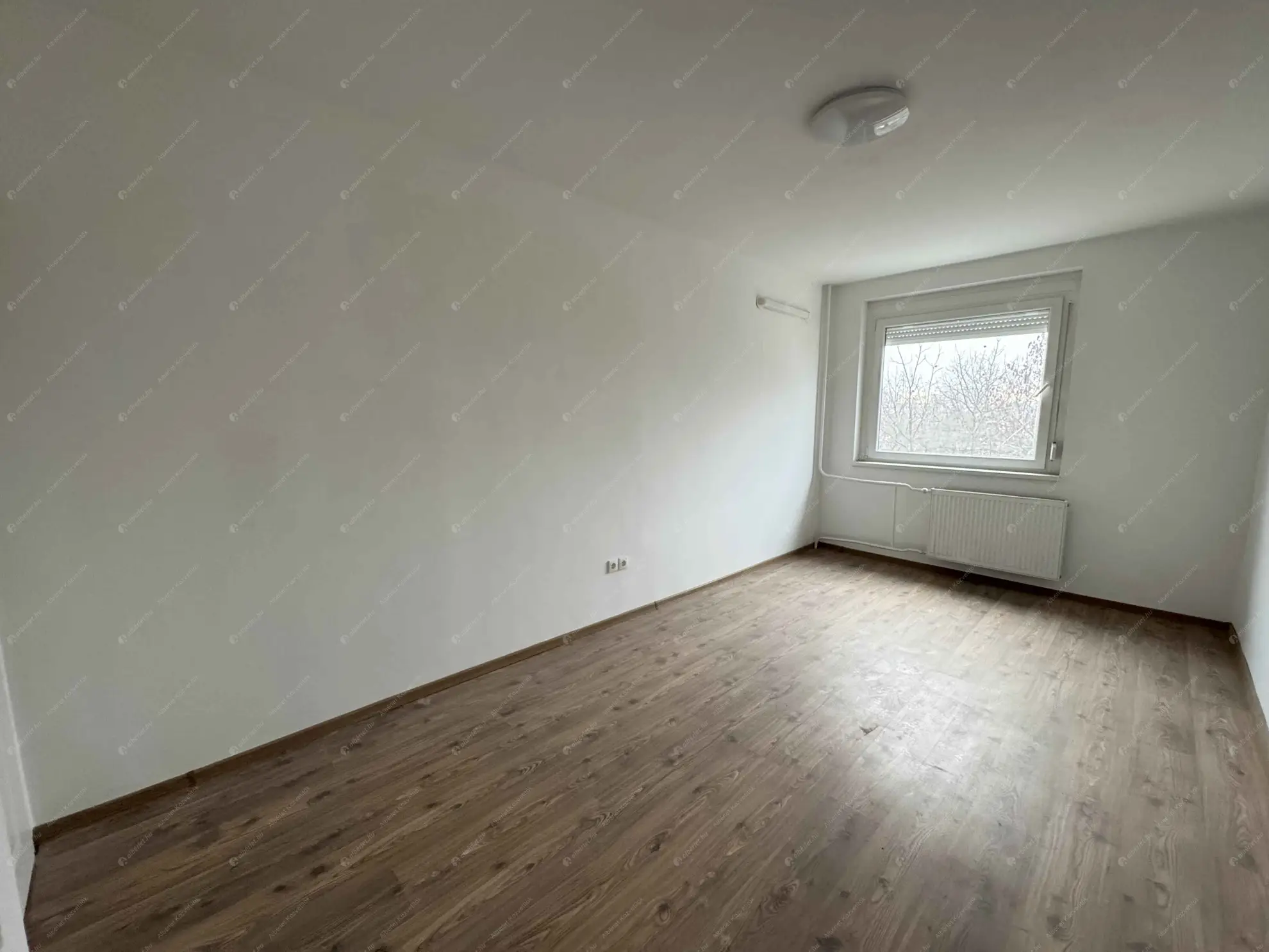 Kiadó albérlet 210000 Ft/hó áron: Budapest, XI. kerület  Albert utca. Mérete: 52 nm, 1 szobás | Alberlet.hu - 6634409