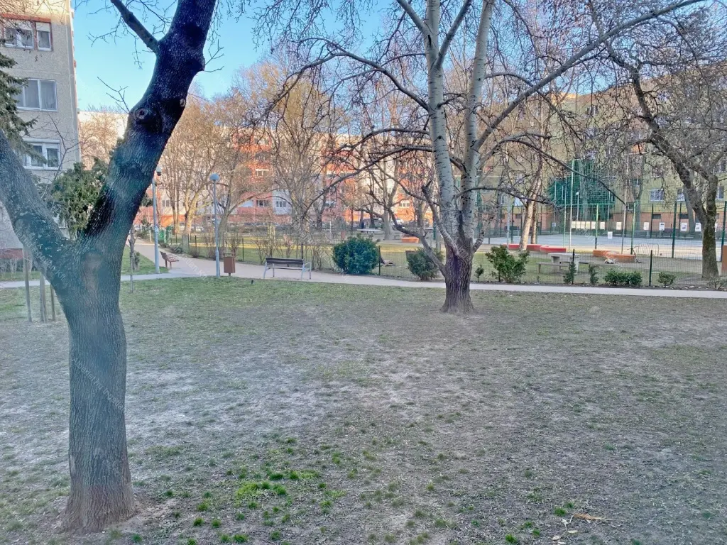 Kiadó albérlet 250000 Ft/hó áron: Budapest, XI. kerület  Allende park. Mérete: 48 nm, 2 szobás | Alberlet.hu - 6691151