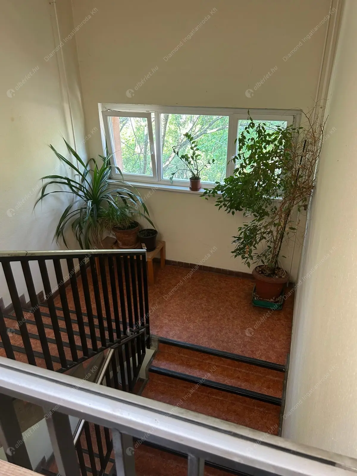 Kiadó albérlet 275000 Ft/hó áron: Budapest, XI. kerület  Allende park. Mérete: 65 nm, 3 szobás | Alberlet.hu - 6552686