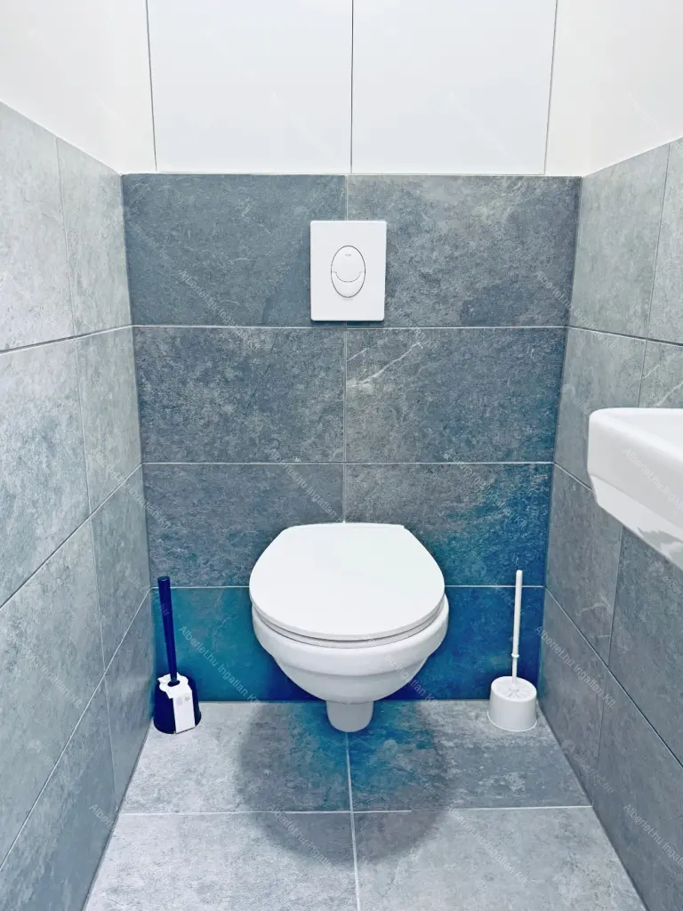 Kiadó albérlet 350000 Ft/hó áron: Budapest, XI. kerület  Ásólúd utca. Mérete: 55 nm, 2 szobás | Alberlet.hu - 6708823