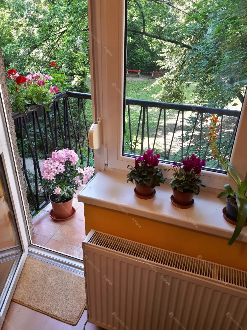 Kiadó albérlet 280000 Ft/hó áron: Budapest, XI. kerület  Baranyai utca. Mérete: 52 nm, 2 szobás | Alberlet.hu - 6693990