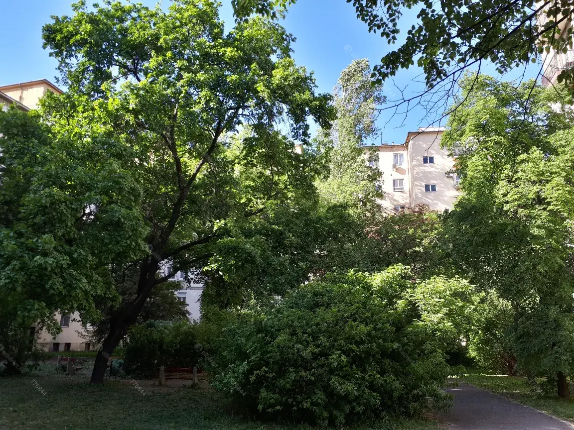 Kiadó albérlet 280000 Ft/hó áron: Budapest, XI. kerület  Baranyai utca. Mérete: 52 nm, 2 szobás | Alberlet.hu - 6693993