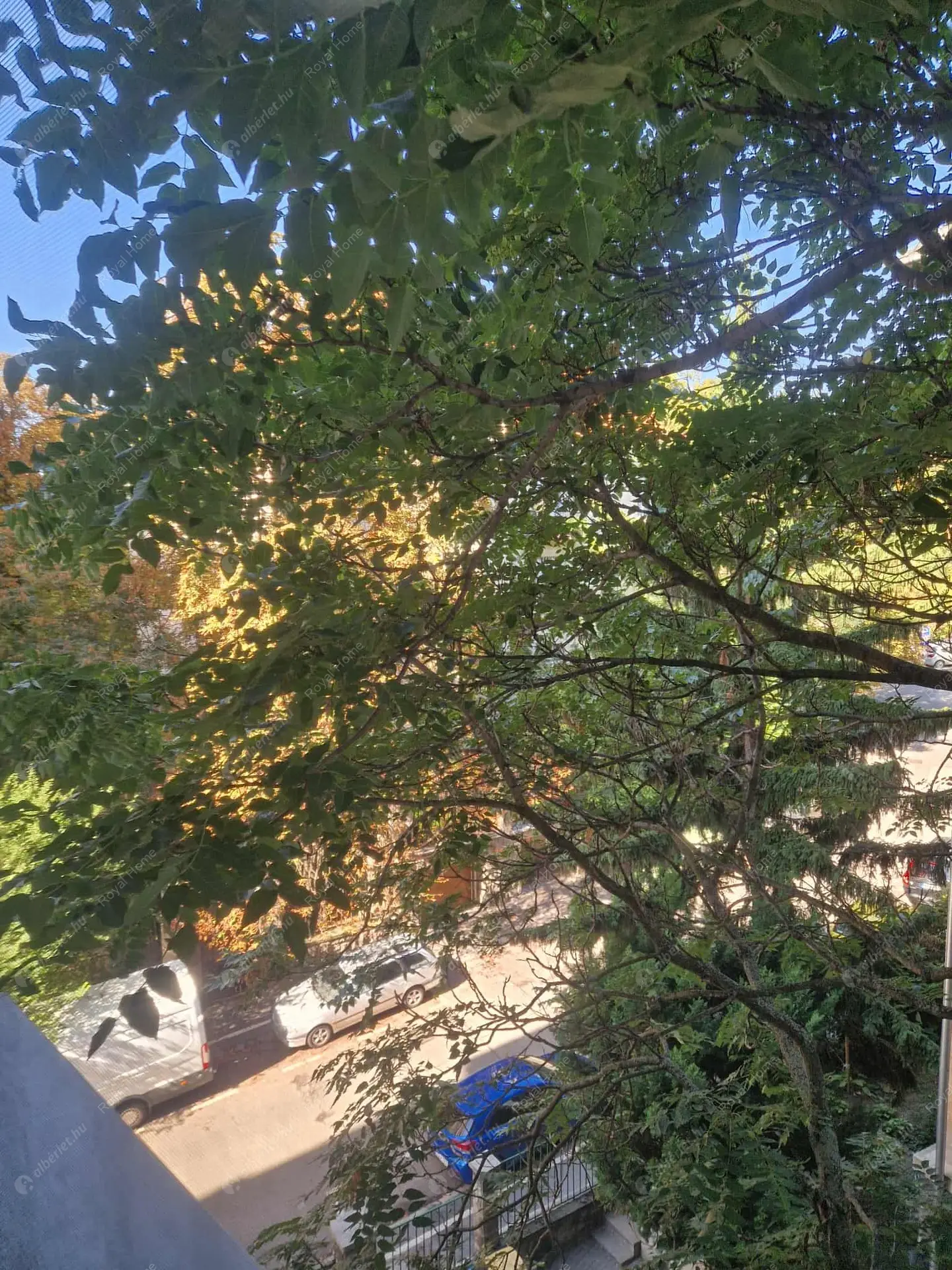 Kiadó albérlet 270000 Ft/hó áron: Budapest, XI. kerület  Bartók Béla út. Mérete: 62 nm, 2 szobás | Alberlet.hu - 6542491