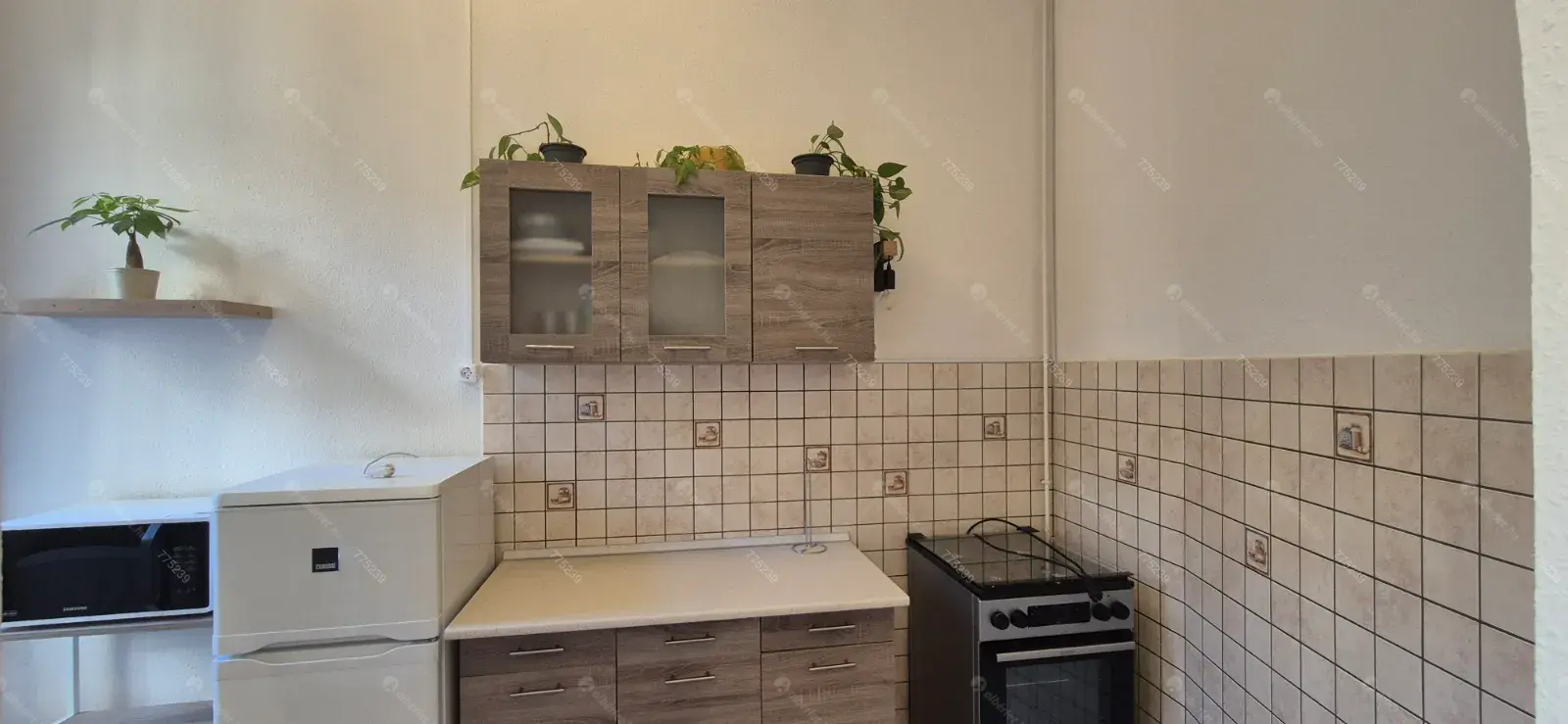 Kiadó albérlet 210000 Ft/hó áron: Budapest, XI. kerület  Bercsényi utca. Mérete: 39 nm, 1 szobás | Alberlet.hu - 6676057