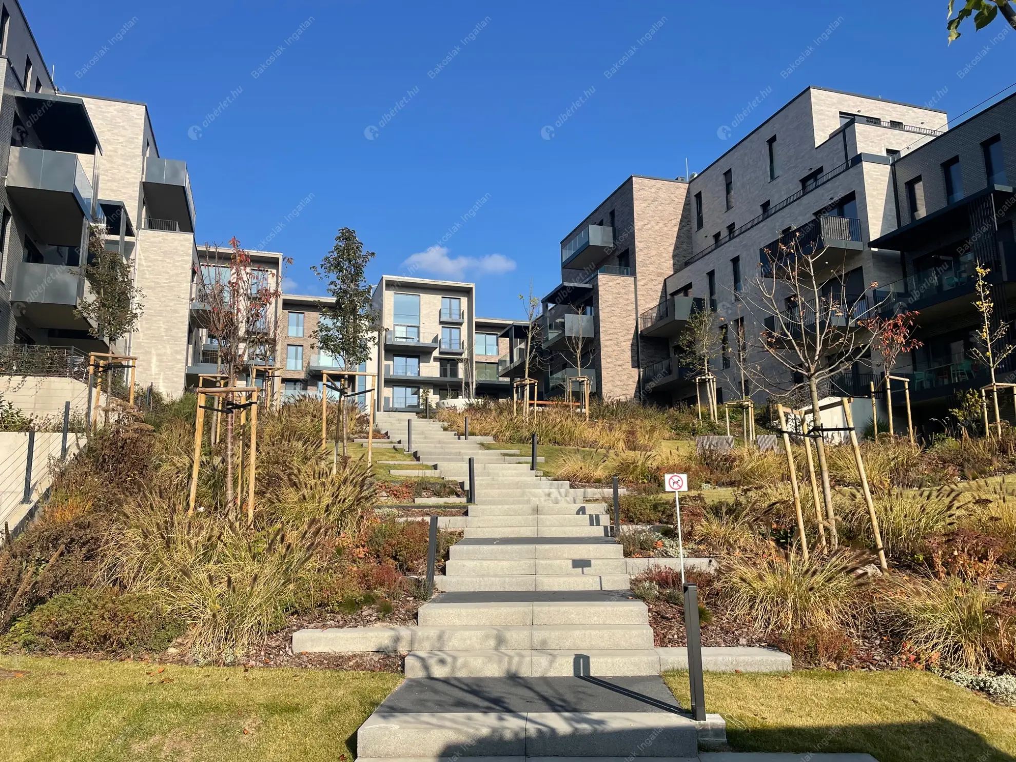 Kiadó albérlet 650000 Ft/hó áron: Budapest, XI. kerület  Bodorka utca. Mérete: 75 nm, 3 szobás | Alberlet.hu - 6578585