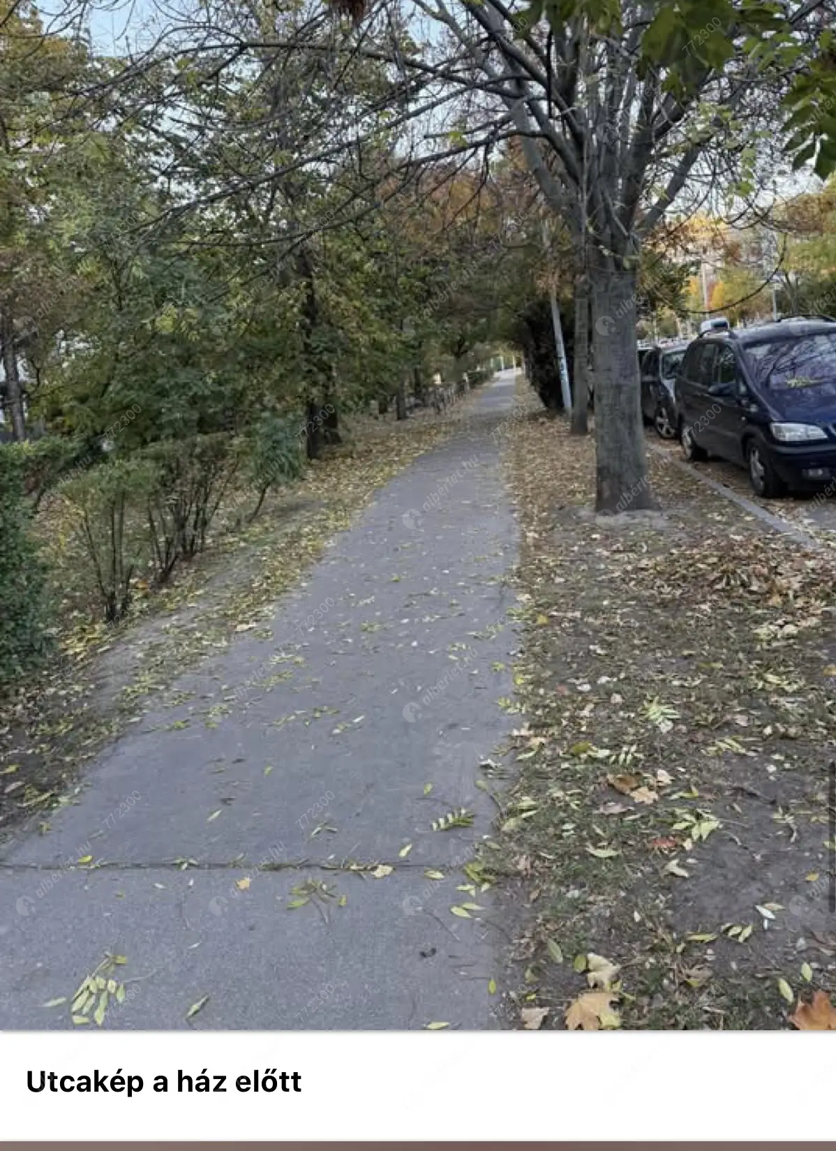 Kiadó albérlet 240000 Ft/hó áron: Budapest, XI. kerület  Bogdánfy utca. Mérete: 57 nm, 1 szobás | Alberlet.hu - 6627060