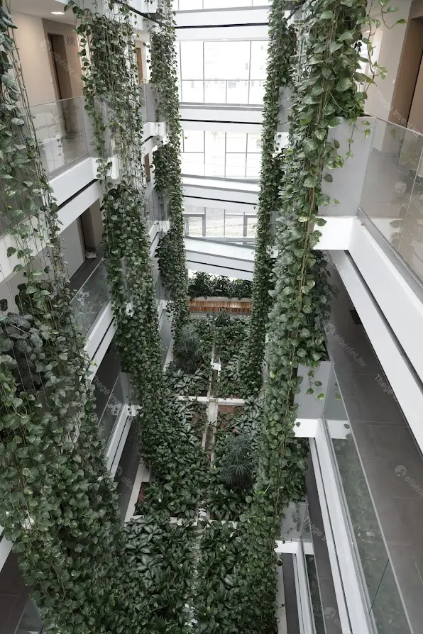 Kiadó albérlet 330000 Ft/hó áron: Budapest, XI. kerület  Budafoki út. Mérete: 41 nm, 2 szobás | Alberlet.hu - 6660762