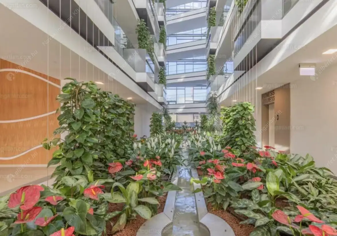 Kiadó albérlet 386000 Ft/hó áron: Budapest, XI. kerület  Budafoki út. Mérete: 50 nm, 3 szobás | Alberlet.hu - 6508805