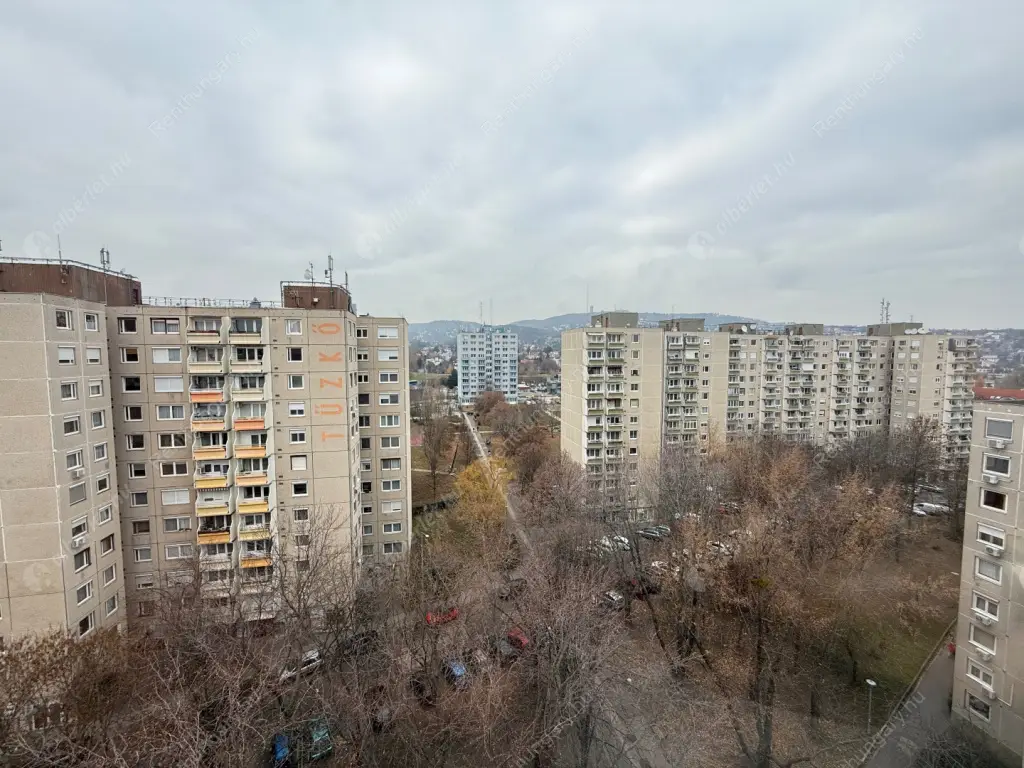 Kiadó albérlet 200000 Ft/hó áron: Budapest, XI. kerület  Csíkihegyek utca. Mérete: 39 nm, 1 szobás | Alberlet.hu - 6572897