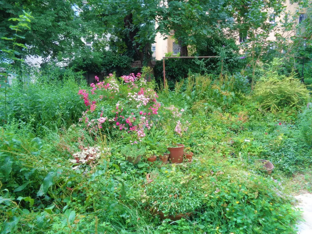 Kiadó albérlet 240000 Ft/hó áron: Budapest, XI. kerület  Dávid Ferenc utca. Mérete: 50 nm, 1 szobás | Alberlet.hu - 6665471