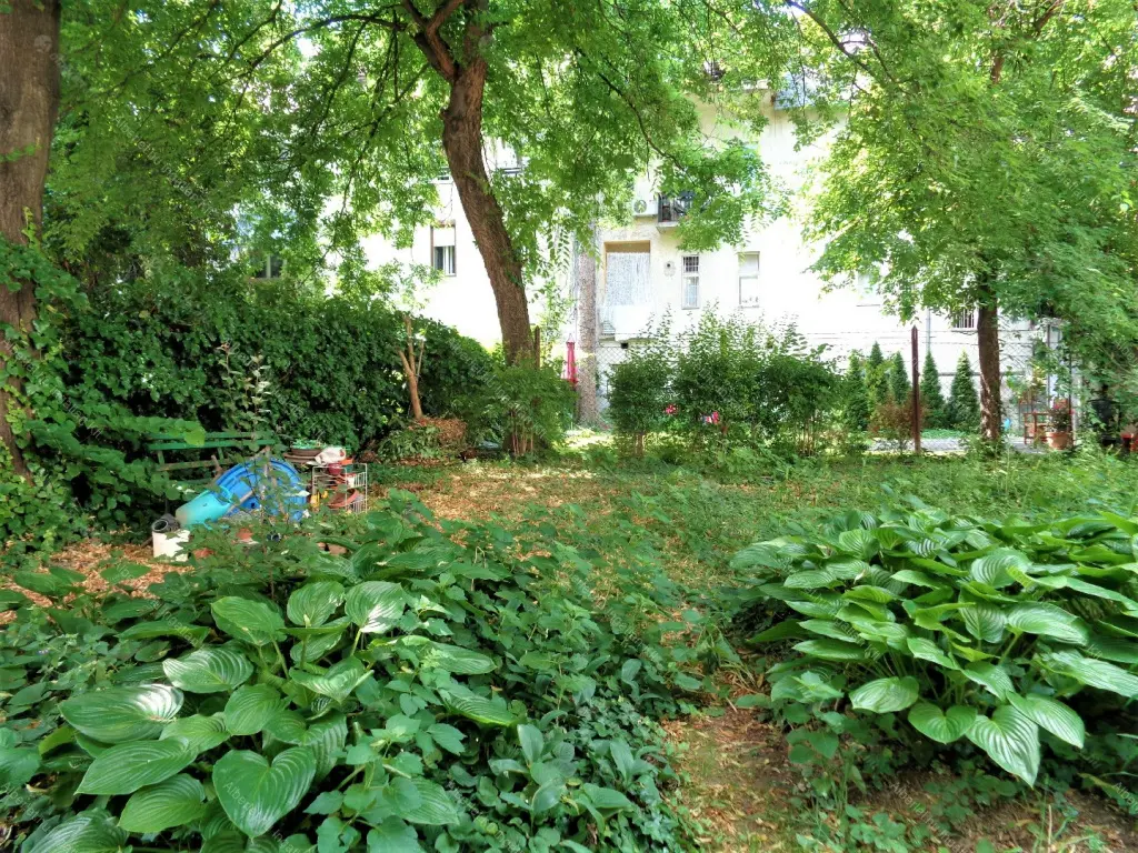 Kiadó albérlet 220000 Ft/hó áron: Budapest, XI. kerület  Dávid Ferenc utca. Mérete: 50 nm, 1 szobás | Alberlet.hu - 6676738