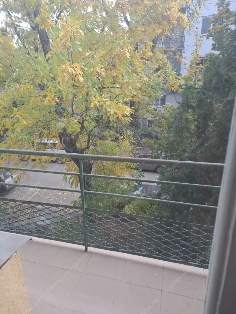 Kiadó albérlet 300000 Ft/hó áron: Budapest, XI. kerület  Elek utca. Mérete: 83 nm, 3 szobás | Alberlet.hu - 6579021