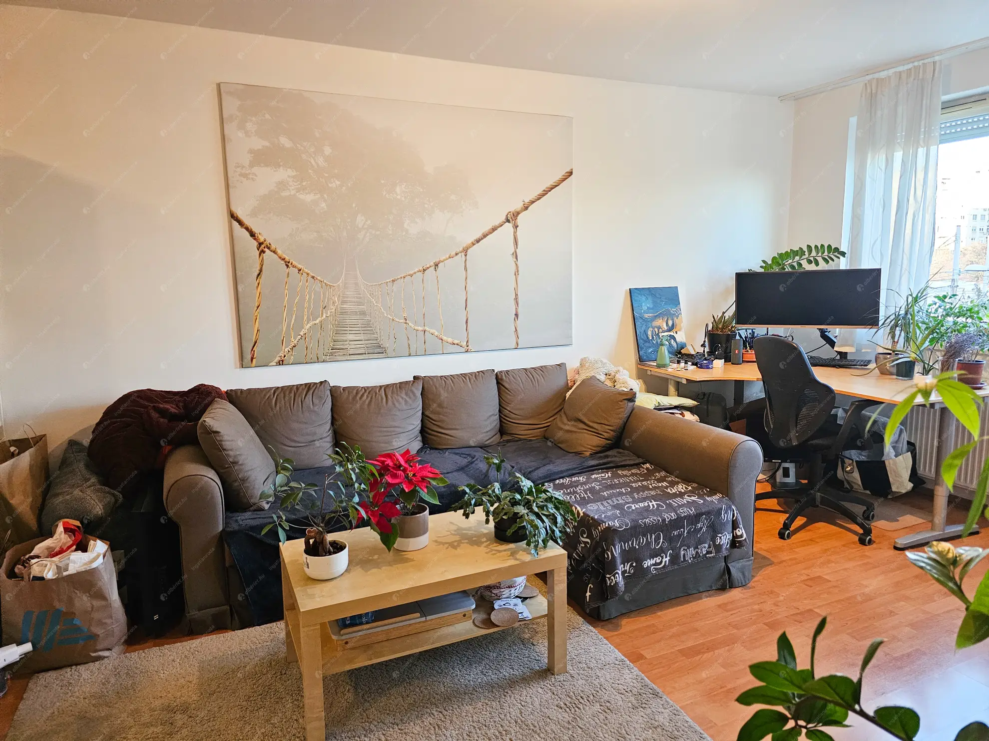 Kiadó albérlet 210000 Ft/hó áron: Budapest, XI. kerület  Fehérvári út. Mérete: 47 nm, 1 szobás | Alberlet.hu - 6591518