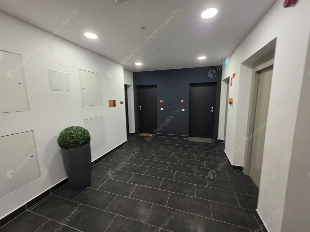 Kiadó albérlet 529000 Ft/hó áron: Budapest, XI. kerület  Garda utca. Mérete: 75 nm, 2 szobás | Alberlet.hu - 6616638