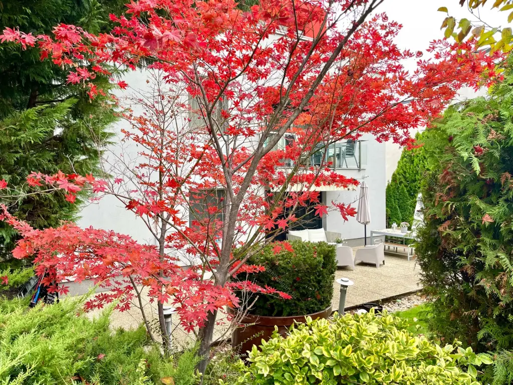 Kiadó albérlet 543000 Ft/hó áron: Budapest, XI. kerület  Gazdagréti út. Mérete: 98 nm, 3 szobás | Alberlet.hu - 6656119