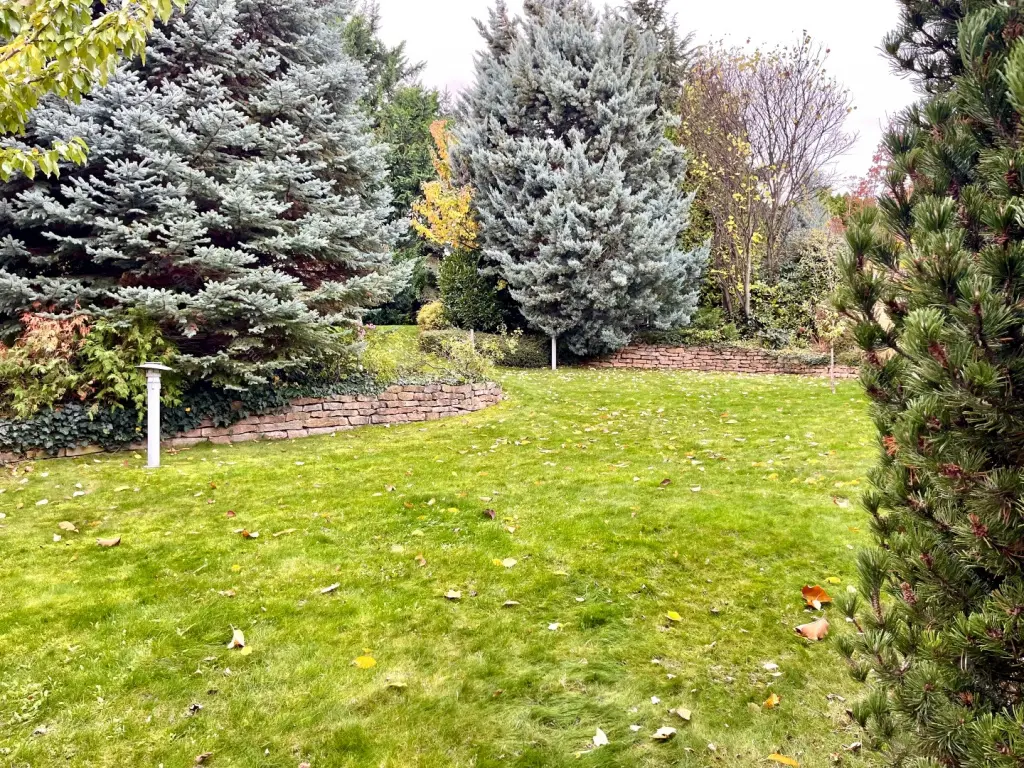 Kiadó albérlet 453000 Ft/hó áron: Budapest, XI. kerület  Gazdagréti út. Mérete: 98 nm, 3 szobás | Alberlet.hu - 6699526