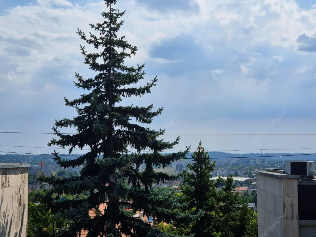 Kiadó albérlet 590000 Ft/hó áron: Budapest, XI. kerület  Iglói utca. Mérete: 75 nm, 3 szobás | Alberlet.hu - 6556449