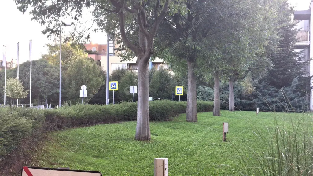 Kiadó albérlet 260000 Ft/hó áron: Budapest, XI. kerület  Kánai út. Mérete: 38 nm, 1 szobás | Alberlet.hu - 6531205