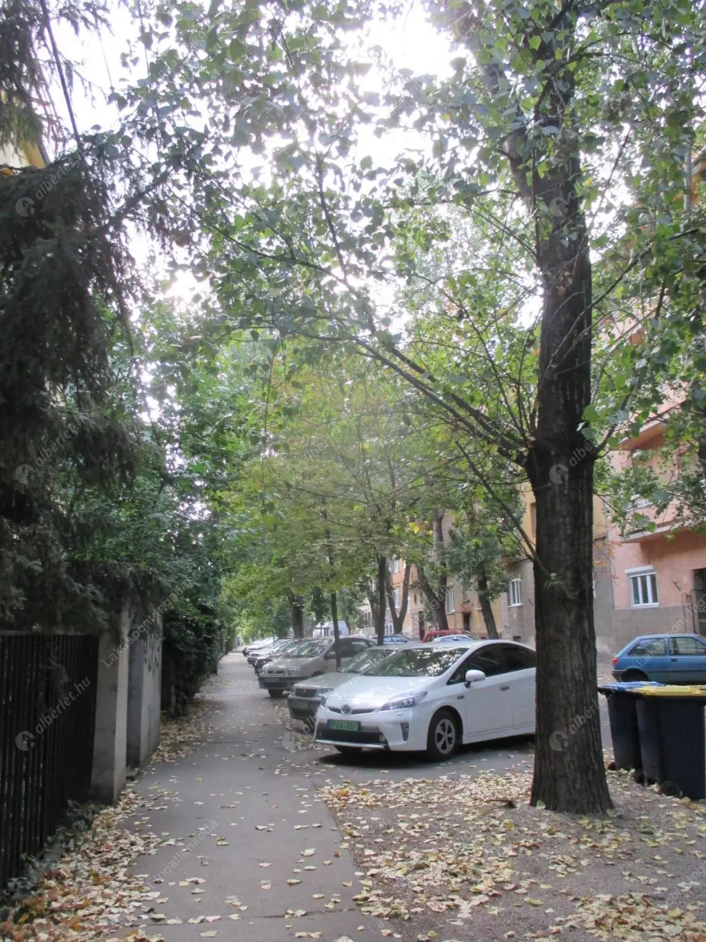 Kiadó albérlet 240000 Ft/hó áron: Budapest, XI. kerület  Kanizsai utca. Mérete: 50 nm, 1 szobás | Alberlet.hu - 6569734