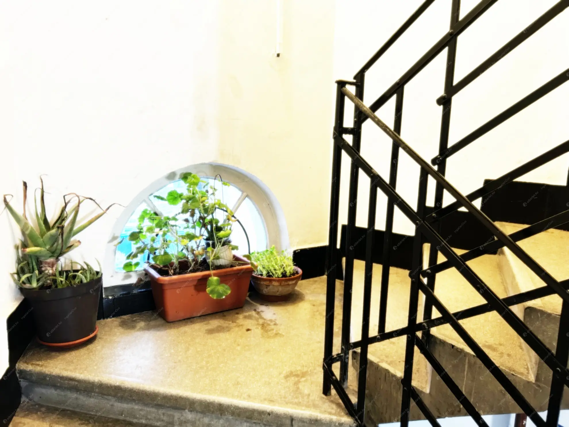 Kiadó albérlet 220000 Ft/hó áron: Budapest, XI. kerület  Karcag utca. Mérete: 55 nm, 2 szobás | Alberlet.hu - 6611224