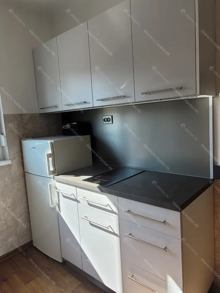 Kiadó albérlet 195000 Ft/hó áron: Budapest, XI. kerület  Karinthy Frigyes út. Mérete: 42 nm, 1 szobás | Alberlet.hu - 6702294