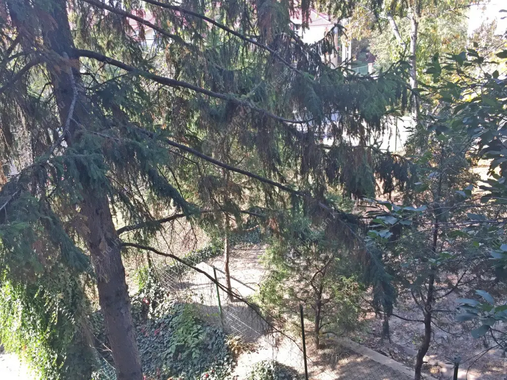 Kiadó albérlet 300000 Ft/hó áron: Budapest, XI. kerület  Köbölkút utca. Mérete: 65 nm, 2 szobás | Alberlet.hu - 6048326